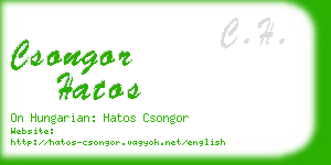 csongor hatos business card